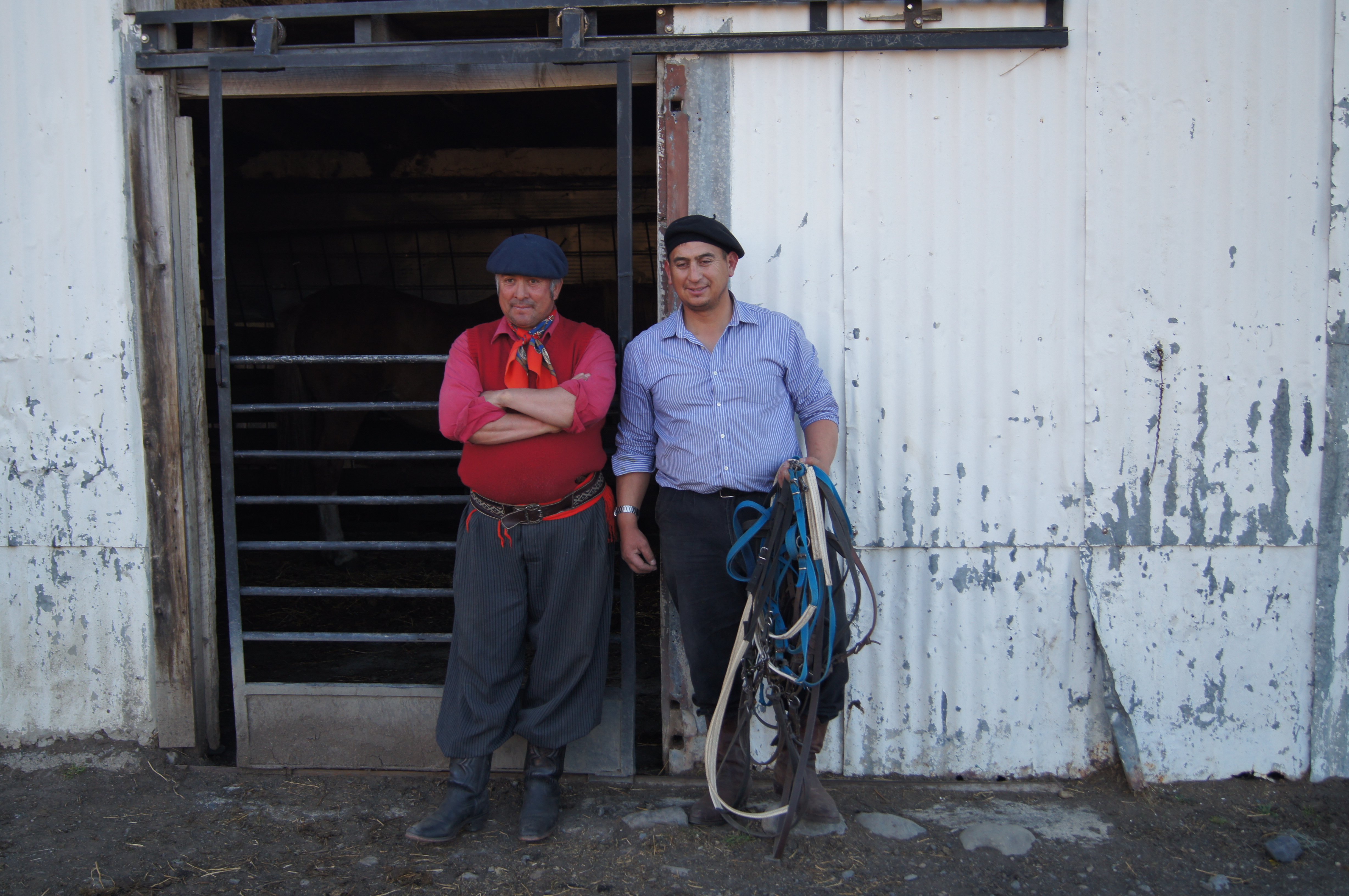 Gauchos
