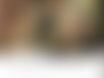 La vida eclesial vista desde la óptica de Marta y María.