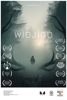 AFFICHE WIDJIGO copie 2.png