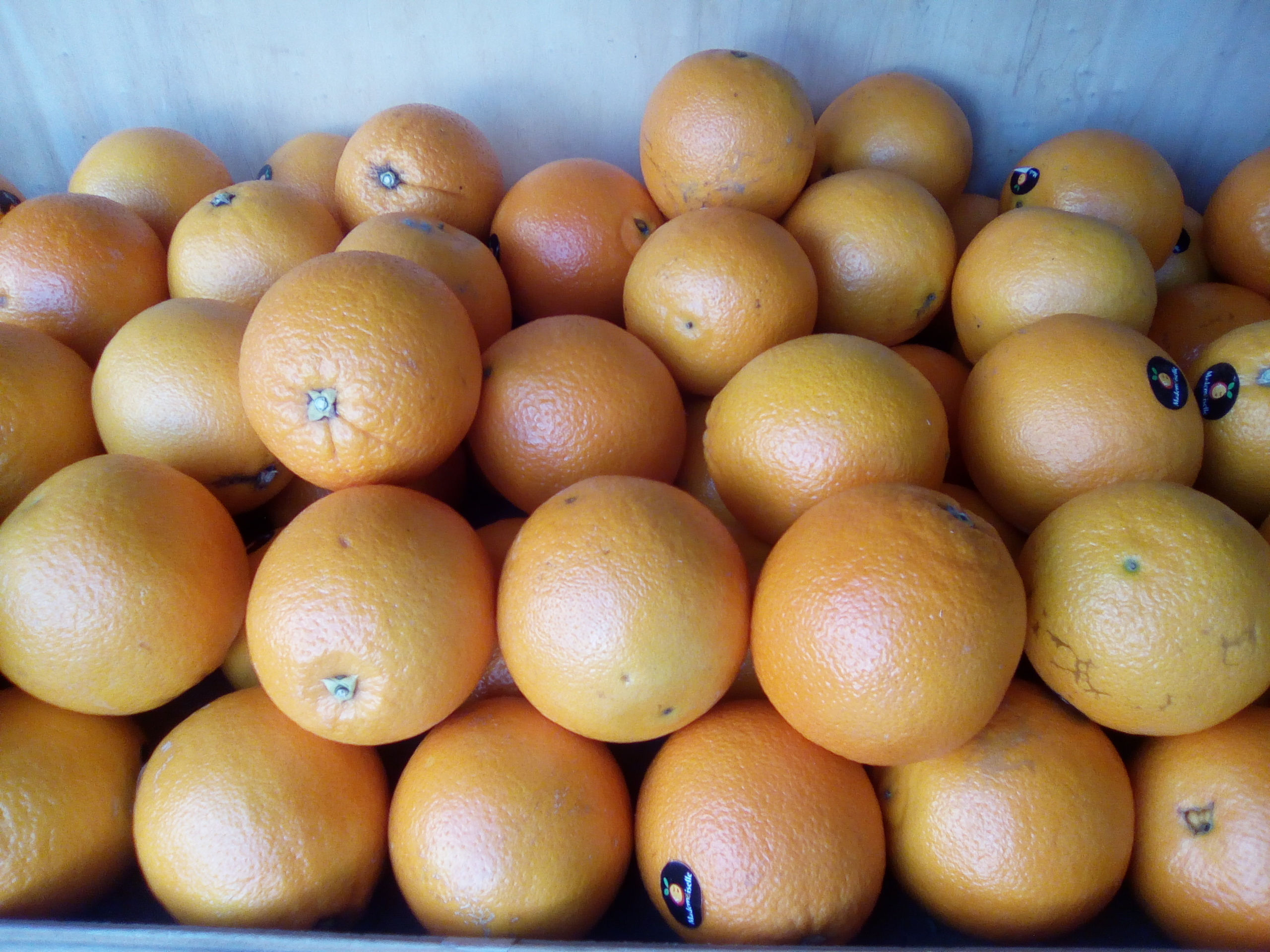 Oranges à jus