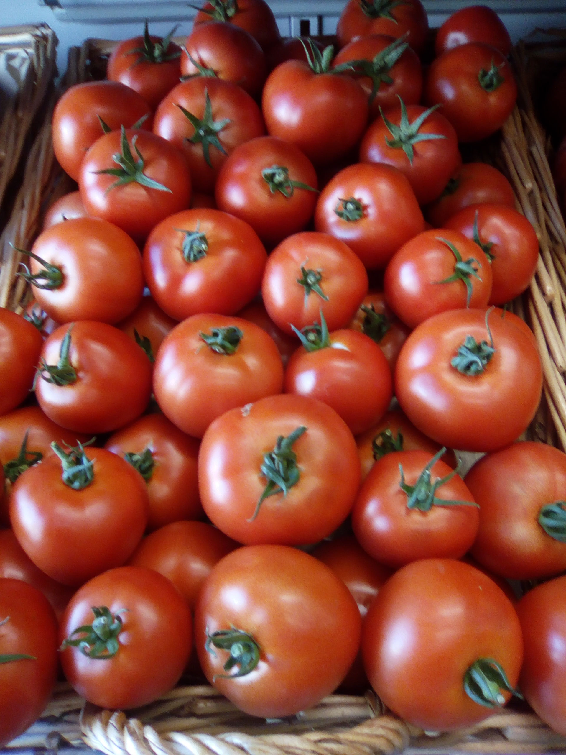 Tomates