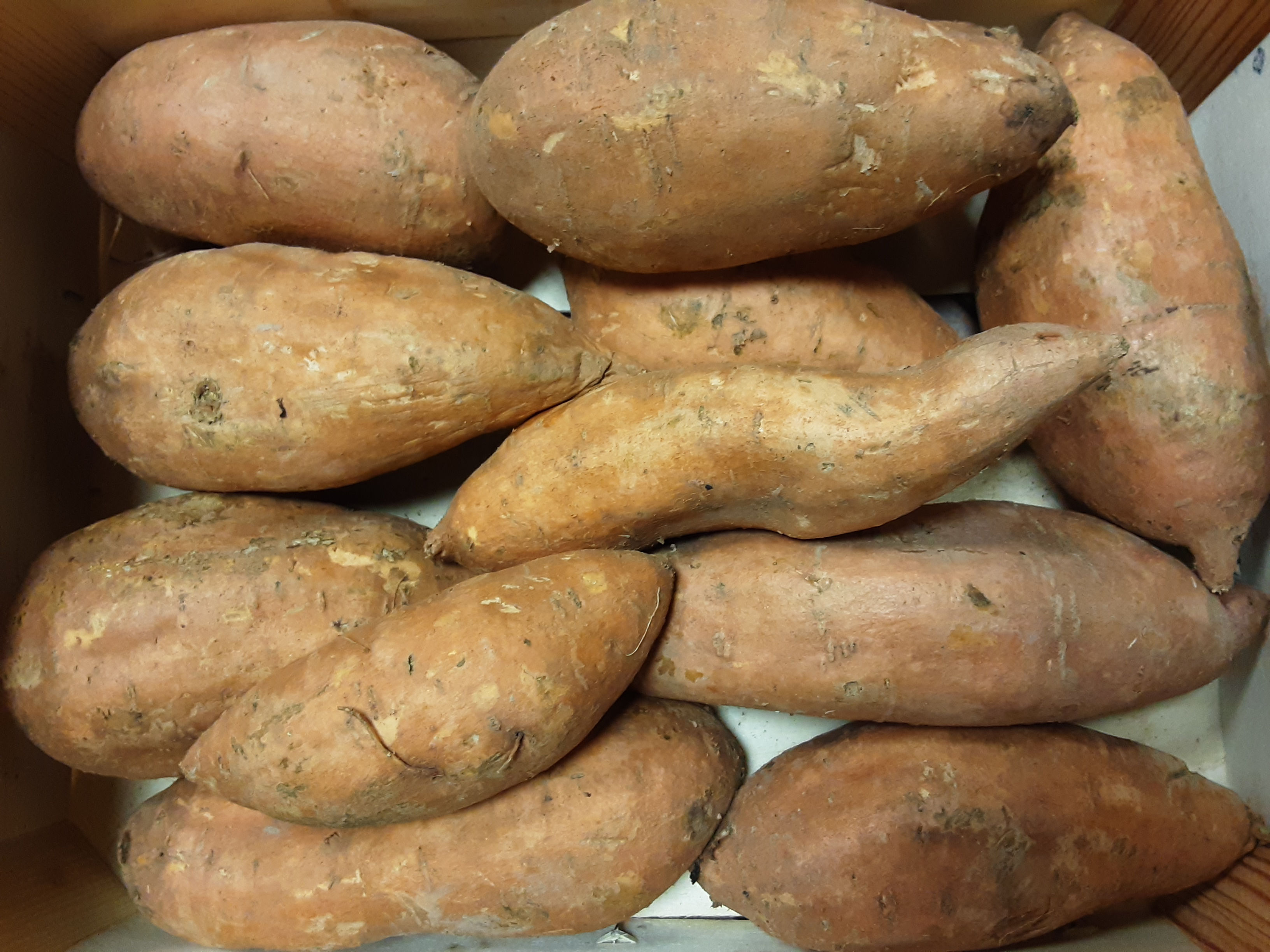 Patate Douce