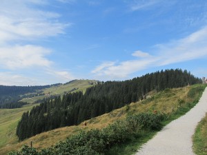 Weg in Ellmis Zauberwelt in Ellmau