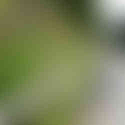 Mädchen bei der Spoggolino Kugelbahn in Westendorf