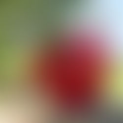 Neues im Hexenwasser auf Hochsöll