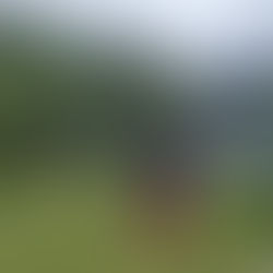 Wanderung zum Wildalmsee in Kelchsau