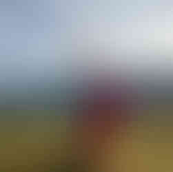 Mädchen schlägt Rad am Gipfel vom Brechhorn in Westendorf