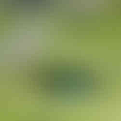 Wanderung Wildalmseen in der Kelchsau