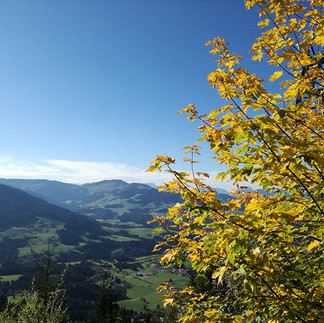 Herbst in Westendorf im Brixental