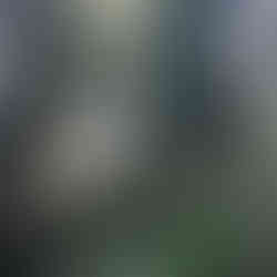 Kletterpark Hornpark in St. Johann in Tirol