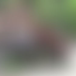 Kaiserwelt in Scheffau mit atemberaubendem Ausblick auf den Wilden Kaiser