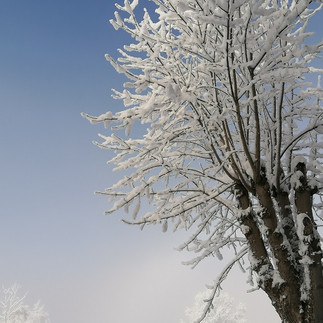 Wintertag in Westendorf im Brixental