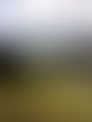 Wanderung auf die Kraftalm