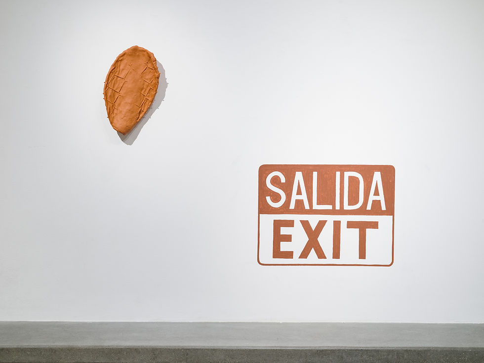 Luciano_PIMIENTA_installation view.jpg