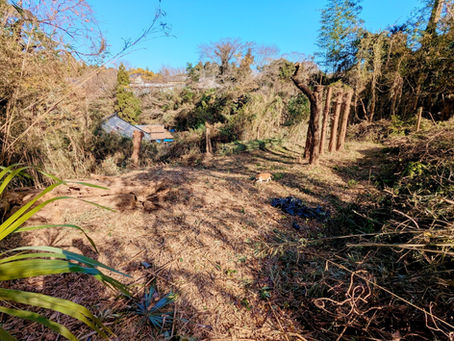 February 2026 summary