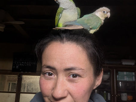 January 2026 summary