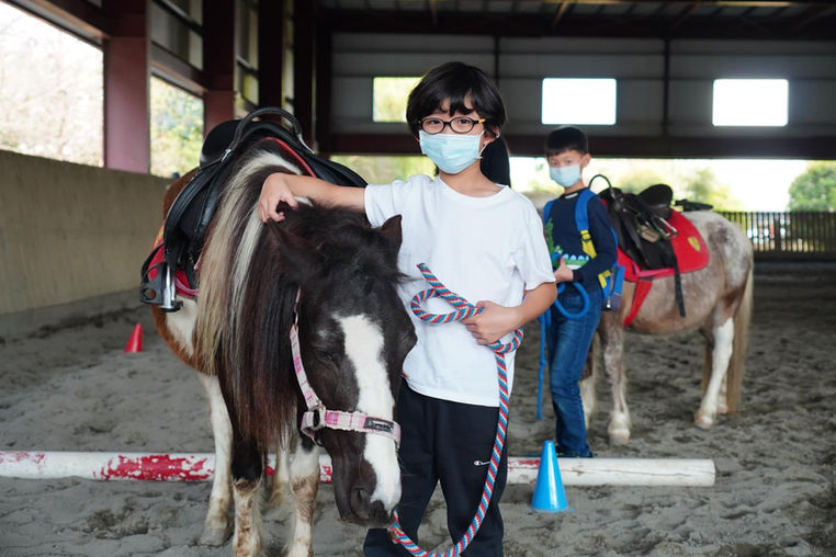 馬術06.jpg