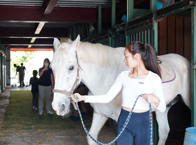 馬術07.jpg