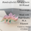 Thumbnail: 3D Triceratops