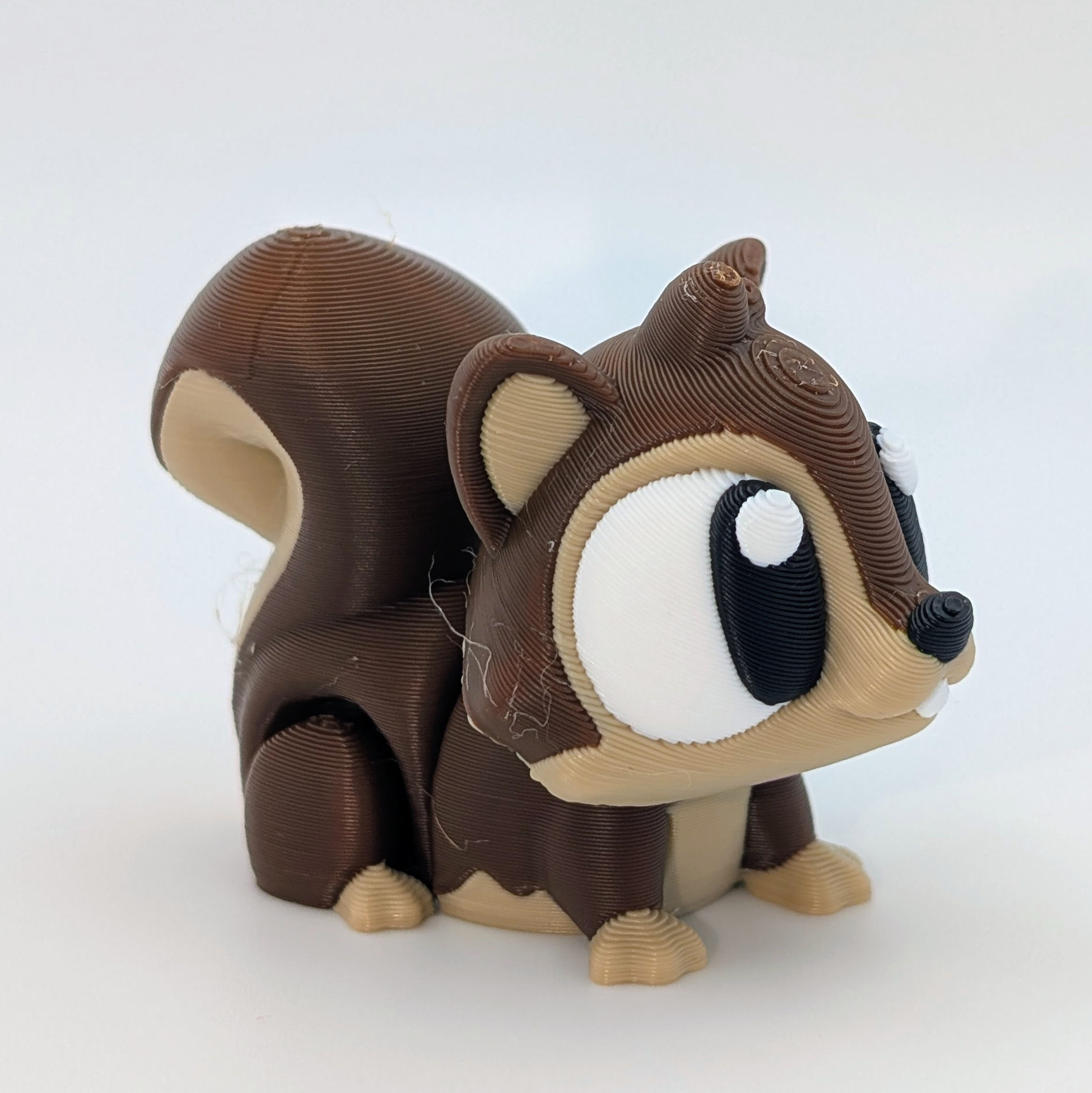 Squirrel