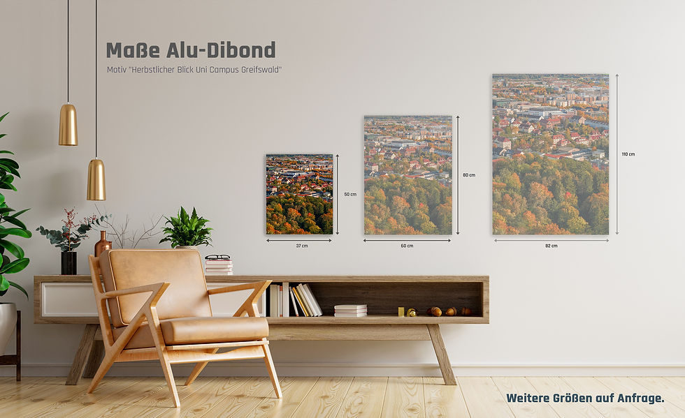Miniaturbild: Alu-Dibond hoch I Herbstlicher Blick Uni Campus Greifswald