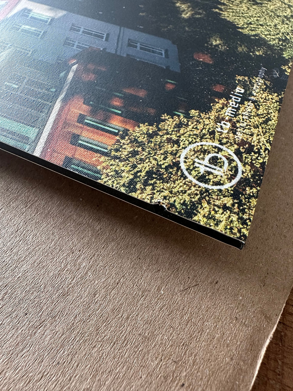 Miniaturbild: Alu-Dibond hoch I 37x50 cm Greifswalder Dom & Sternwarte B-Ware