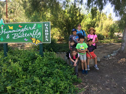 Hummingbird & Butterfly Garden