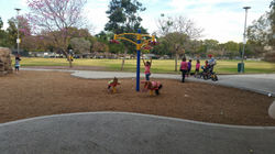 Gross Motor Activities