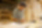 340535_271256299604876_1573783229_o_edited.jpg