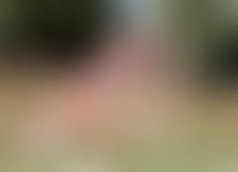 Kein Kantersieg: 4 : 0 gegen Töplitz