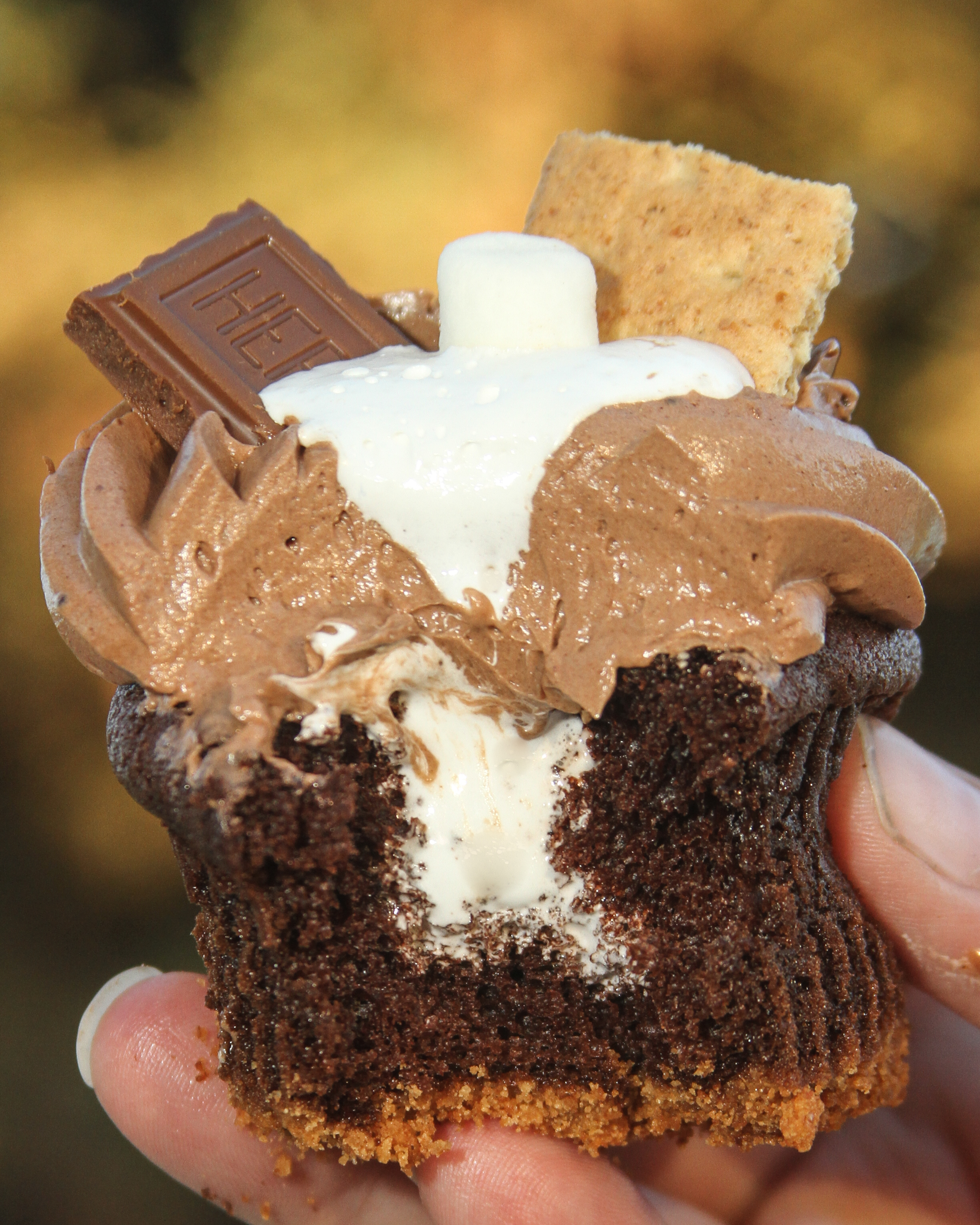 S'mores Cupcakes