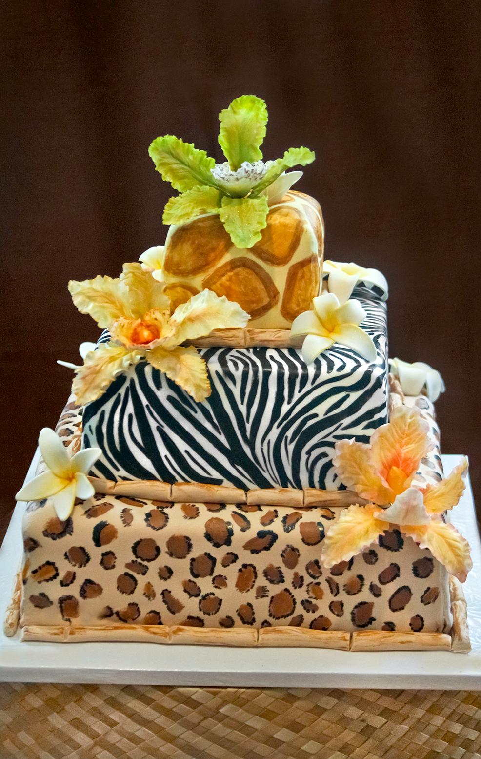 Jessica's Safari Cake