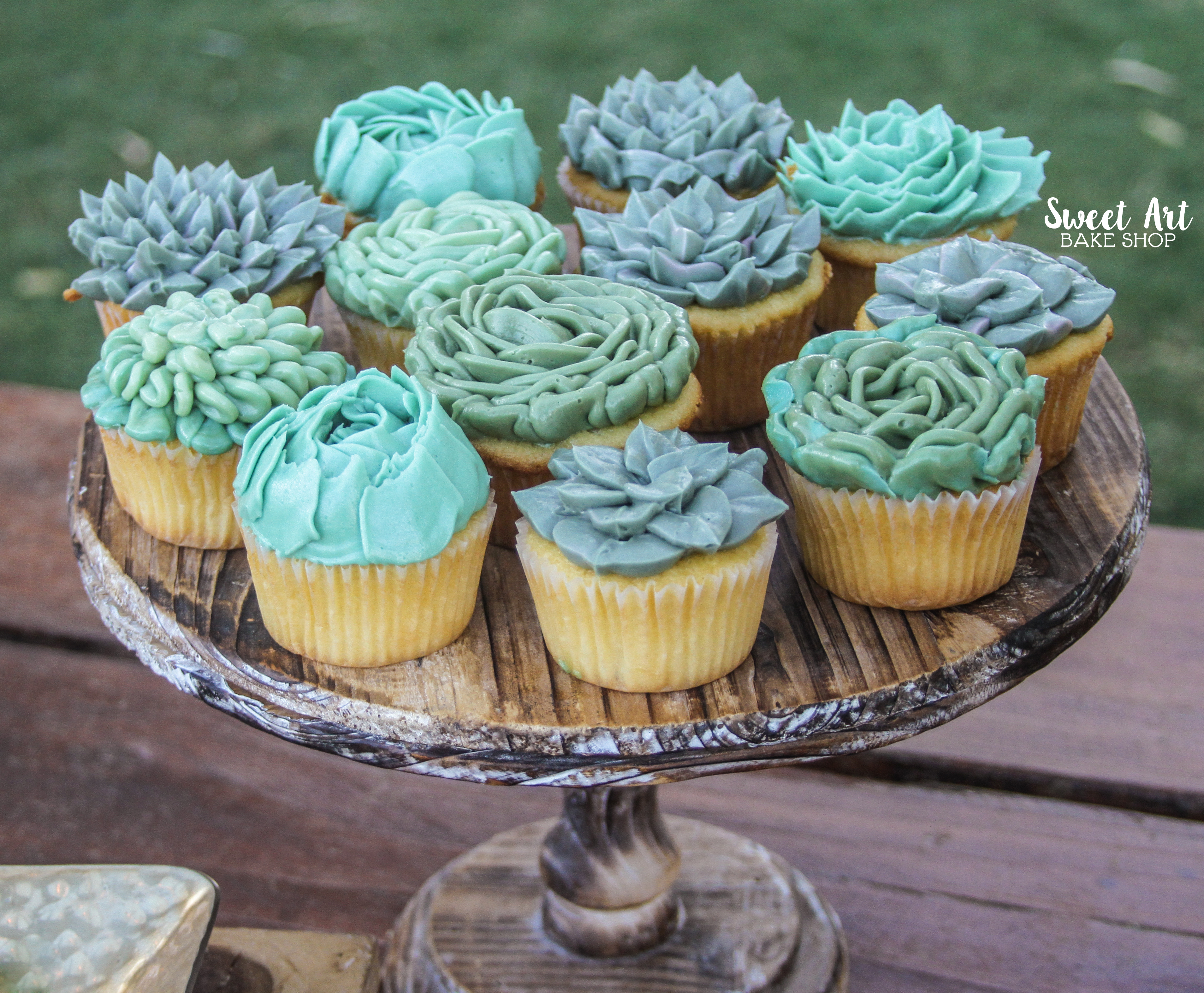 Succulent Cupcakes