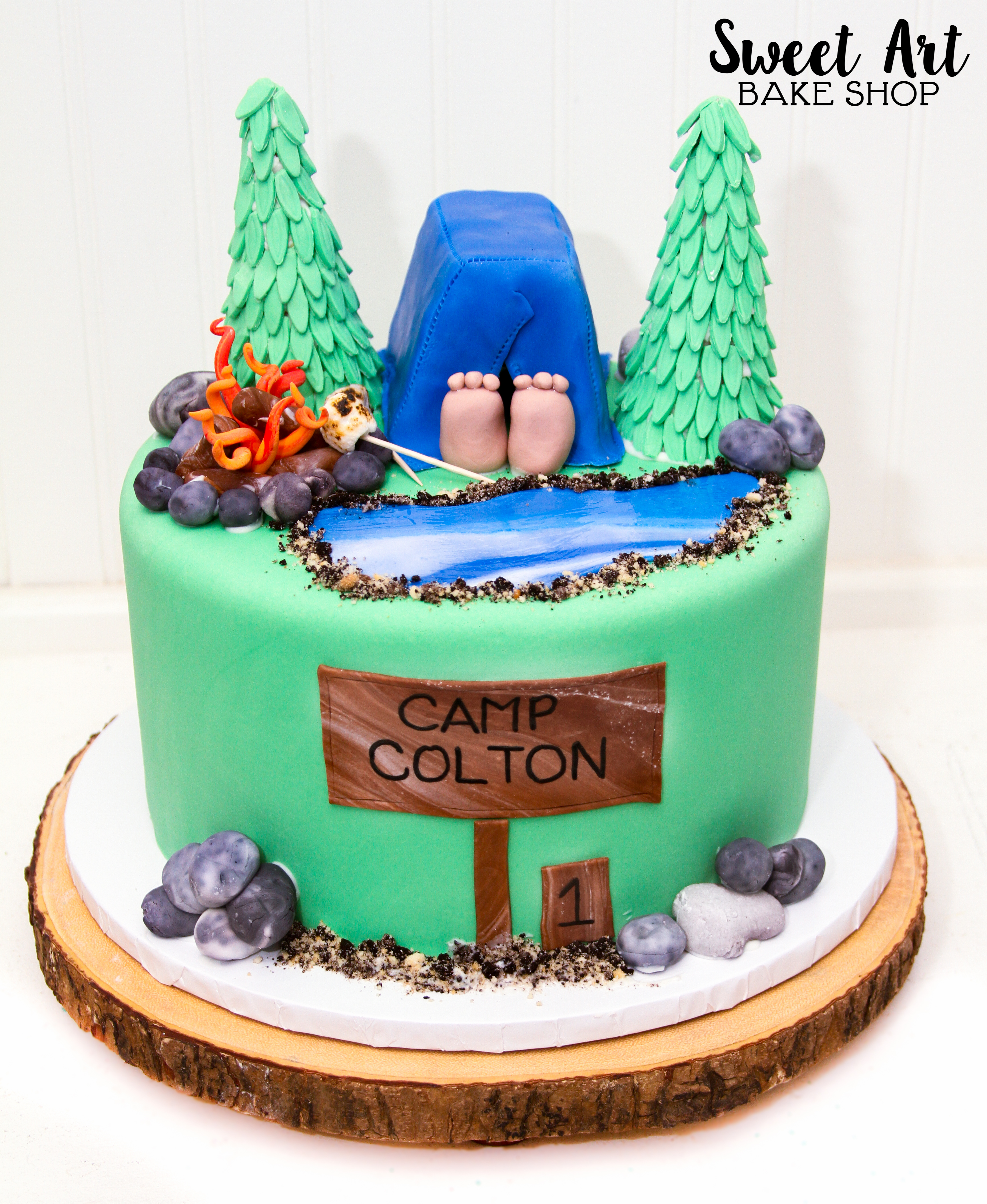 Colton's Camping Cake