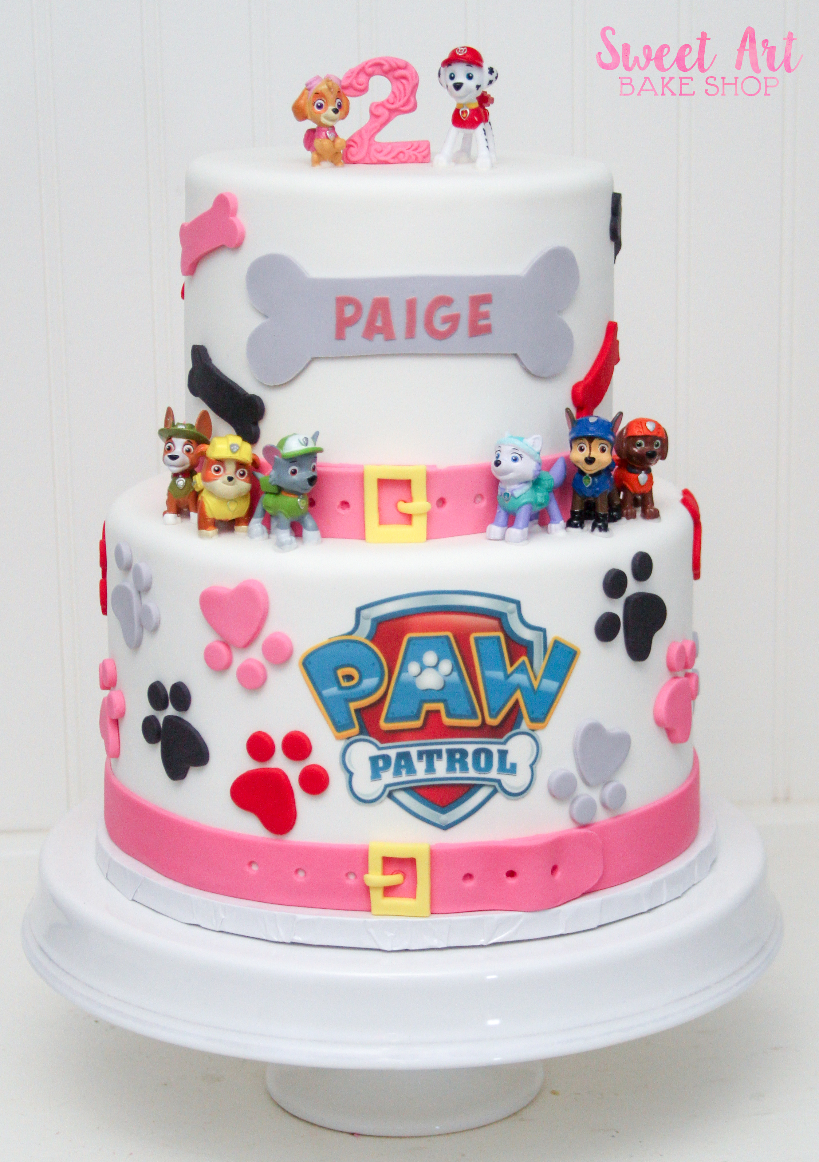 Paige's Paw Patrol Cake