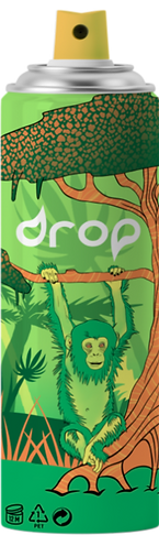 Green-Monkey-design_edited.png