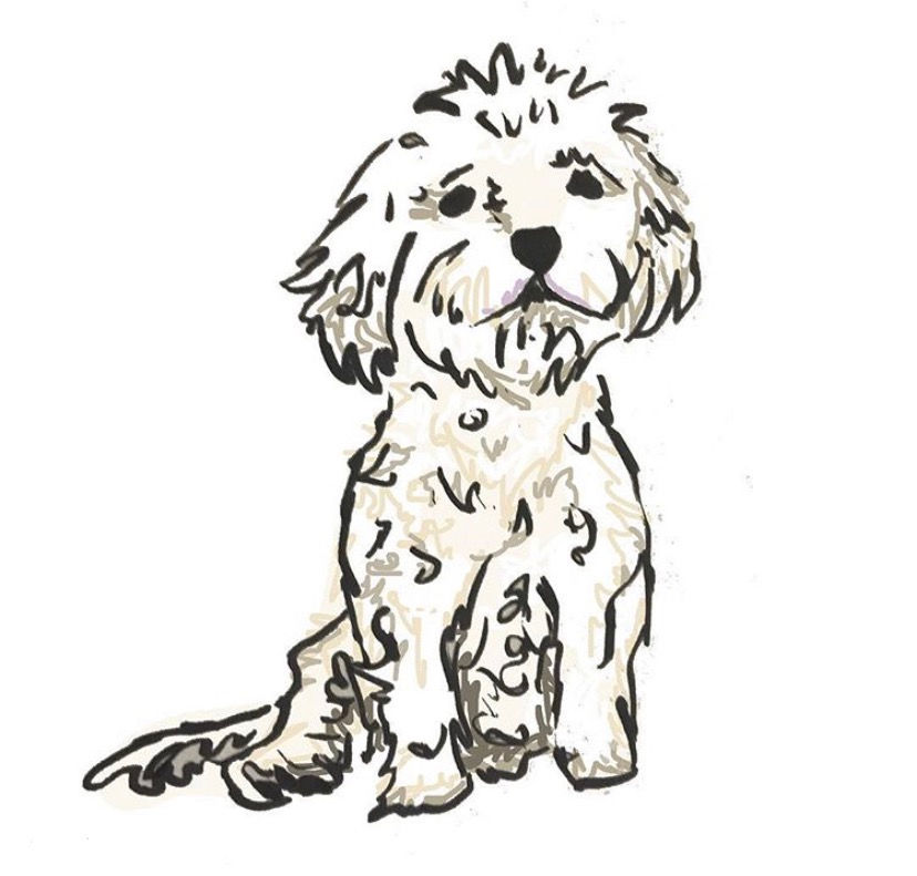 Thumbnail: Pet portrait