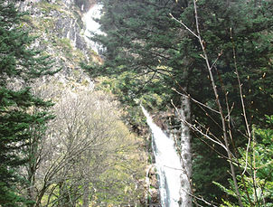 IMG_2774.JPG