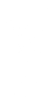 Cannes_2x copy 2.png