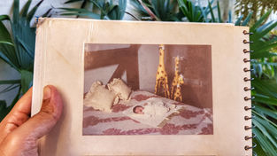 Orgulho de ser e produzir