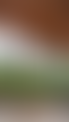 Casa Granada - Estúdio HAA!