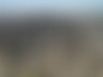 A Desnaturalização do Homo Sapiens