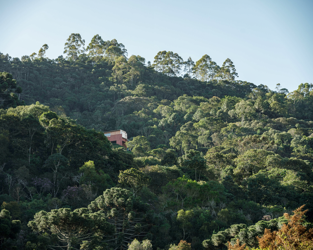 A Serra da Mantiqueira Como Refúgio Climático