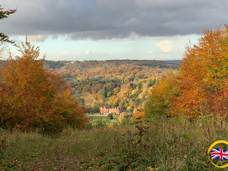 行山勝地: 薩里郡 Hiking: Box Hill, Surrey
