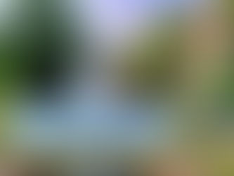 Nieuwsbrief 8 September