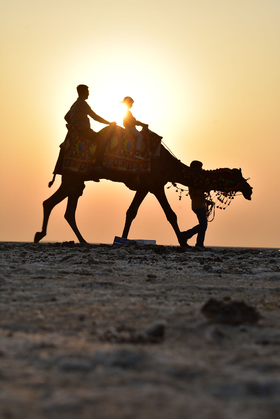 GUJARAT, 2019