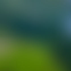 Alpine dreams - A journey though Switzerland