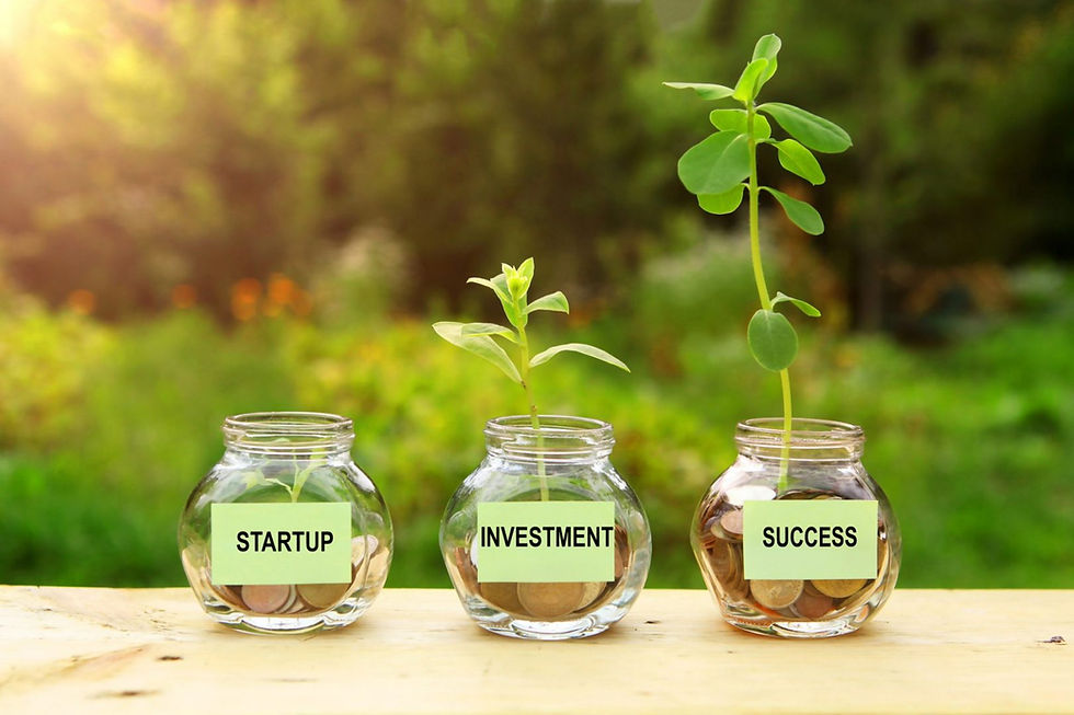 3 pots with plants growing from them, labelled startup, investment, success from left to right.