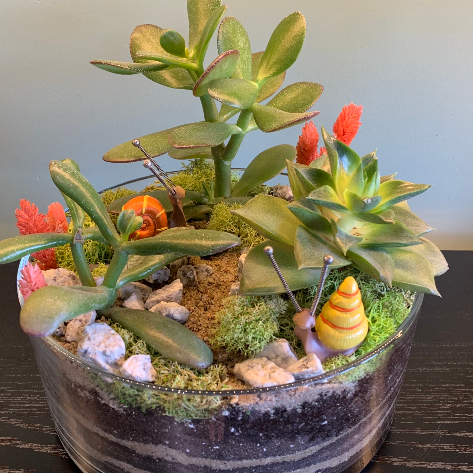 Florarium "FОREST HAVEN"