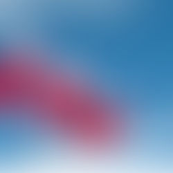 Felices Fiestas Patrias